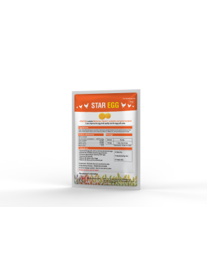 STAR EGG